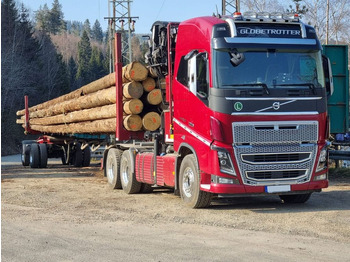 Logging truck VOLVO FH16 650