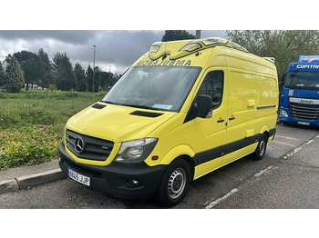 Panel van MERCEDES-BENZ Sprinter 313