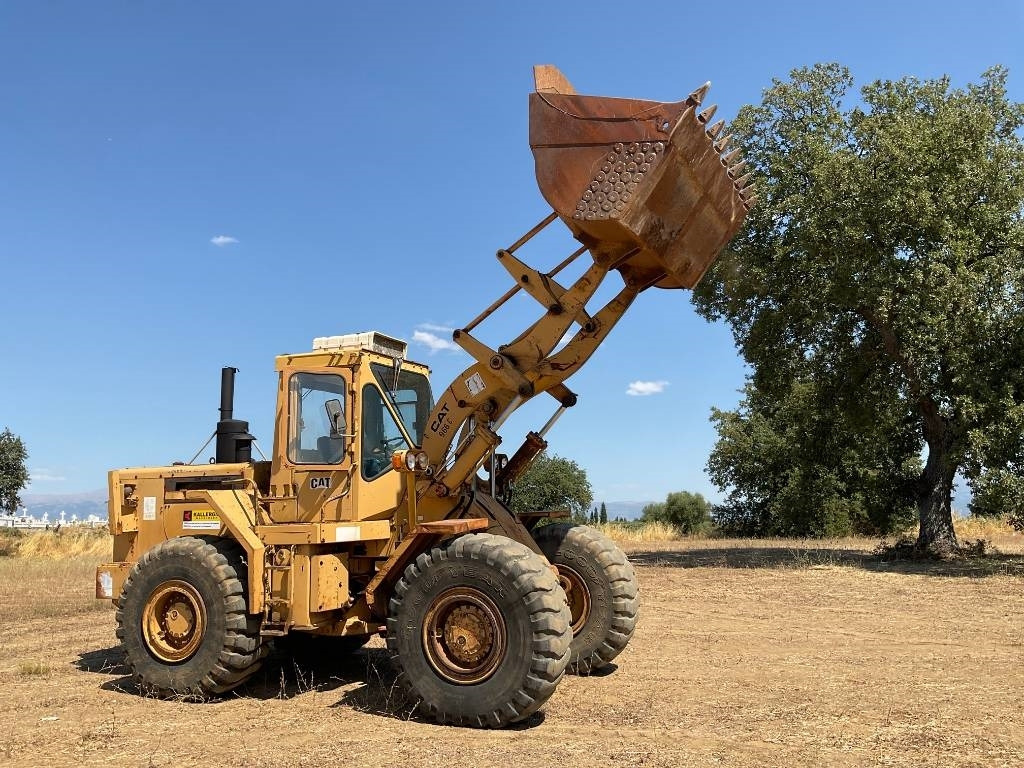 Wheel loader CAT 966C: picture 11